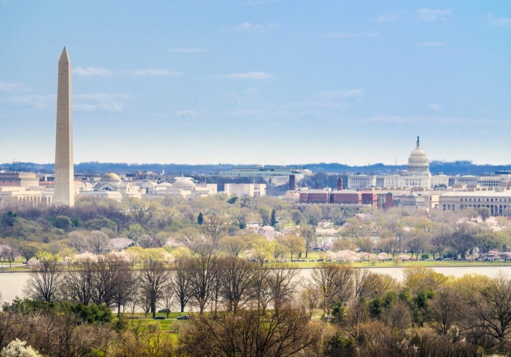 The Washington Monument and United States Capitol Building stand tall amongst the spring landscape of Washington D.C.