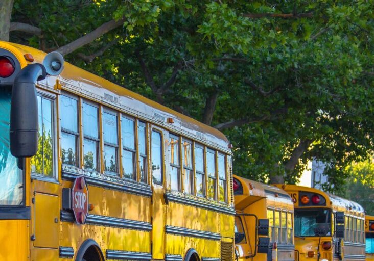Row of school buses parked on the street. School buses parked in a row under the shade of trees on a sunny street. The buses have red and orange lights, red stop sign, and horns.