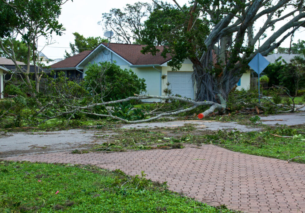 View of downed trees in front of house and hurricane irma damage in florida.