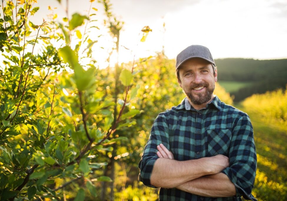 A front view of mature farmer standing in orchard at sunset, arms crossed. Copy space.