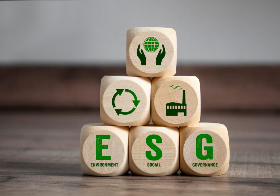 Cubes, dice or blocks with acronym ESG environment social govern