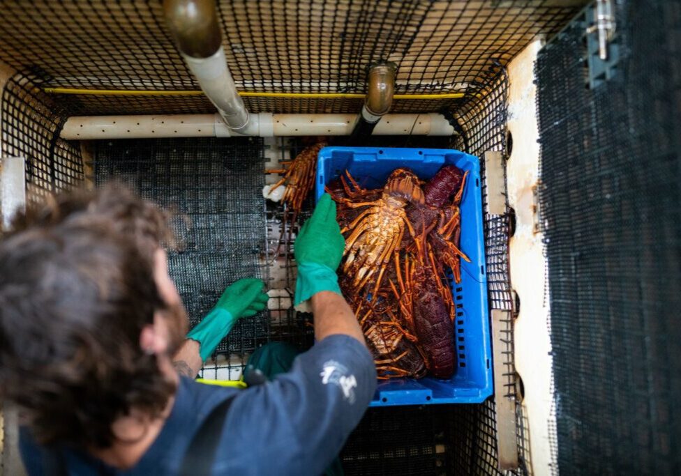 working on a lobster fishing boat in america in australia